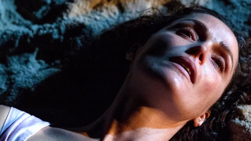 close up of rose byrne s face as she lays in the sand looking like she s in pain in if i had legs i